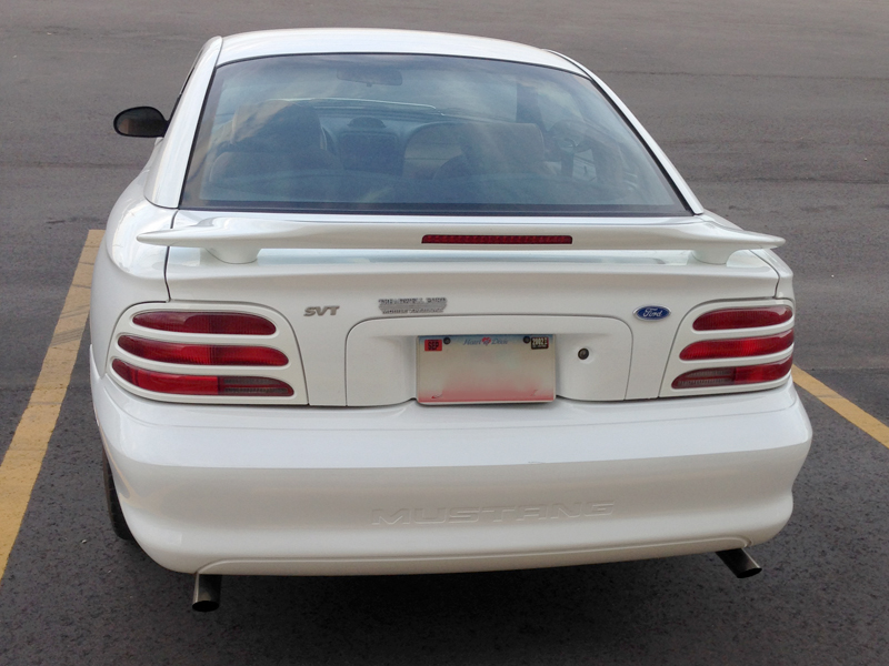 2nd Image of a 1995 FORD MUSTANG COBRA R