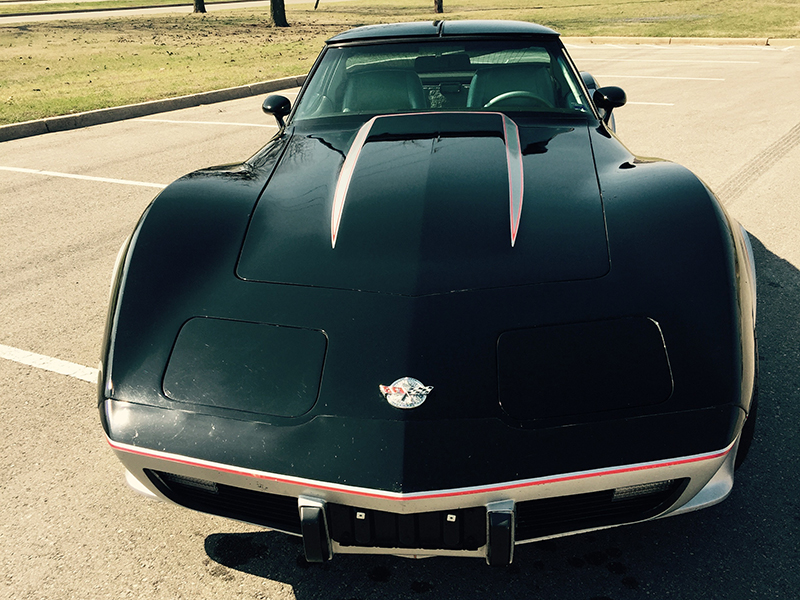 5th Image of a 1978 CHEVROLET CORVETTE