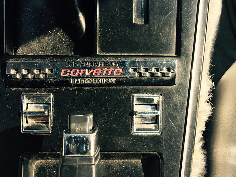 10th Image of a 1978 CHEVROLET CORVETTE