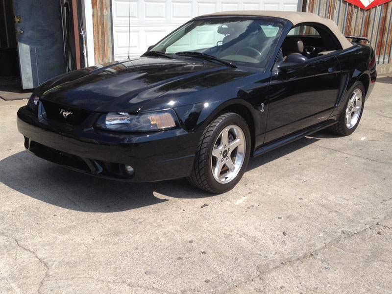 0th Image of a 2001 FORD MUSTANG COBRA