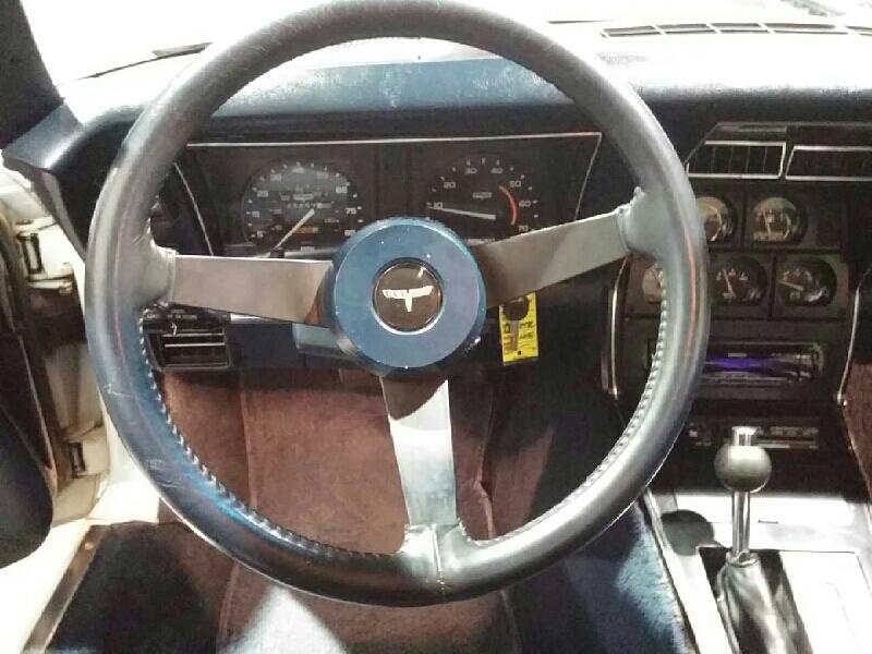 3rd Image of a 1981 CHEVROLET CORVETTE