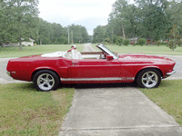 Image 3 of 10 of a 1969 FORD MUSTANG GT350 SHELBY TRIBUTE