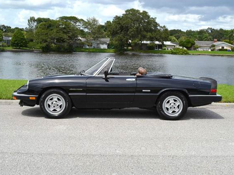 1st Image of a 1986 ALFA ROMEO SPIDER VELOCE