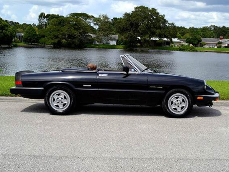 2nd Image of a 1986 ALFA ROMEO SPIDER VELOCE