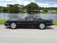 Image 2 of 9 of a 1986 ALFA ROMEO SPIDER VELOCE