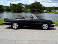 Image 3 of 9 of a 1986 ALFA ROMEO SPIDER VELOCE