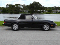 Image 4 of 9 of a 1986 ALFA ROMEO SPIDER VELOCE