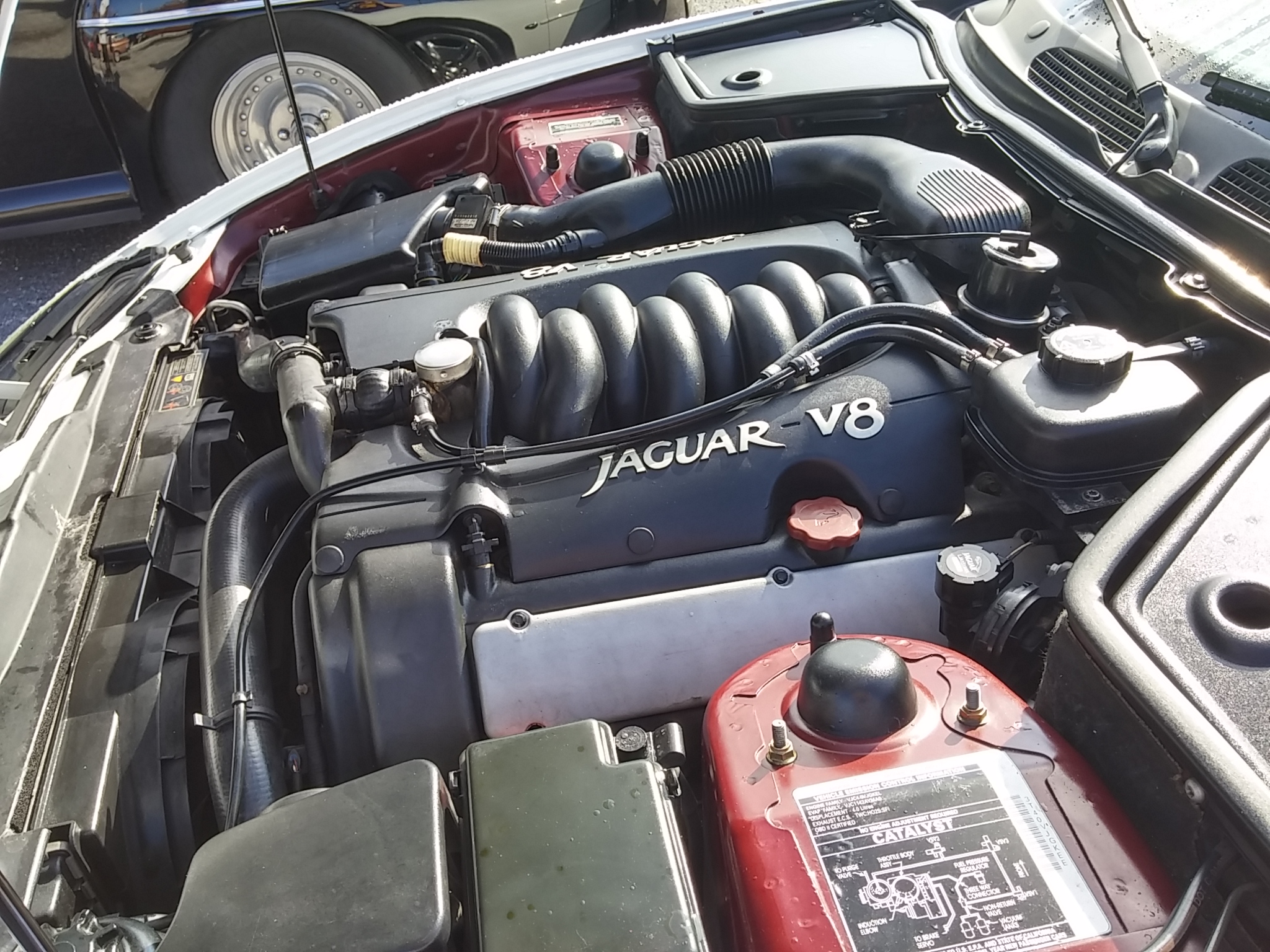 7th Image of a 1997 JAGUAR XK8