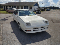 Image 2 of 9 of a 1982 PLYMOUTH HORIZON TC3