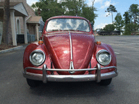 Image 2 of 15 of a 1964 VOLKSWAGEN BEETLE