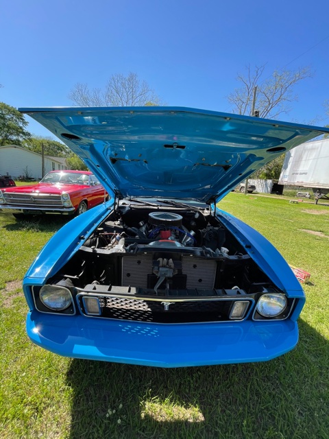 15th Image of a 1973 FORD MUSTANG