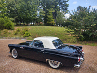 Image 8 of 22 of a 1955 FORD THUNDERBIRD