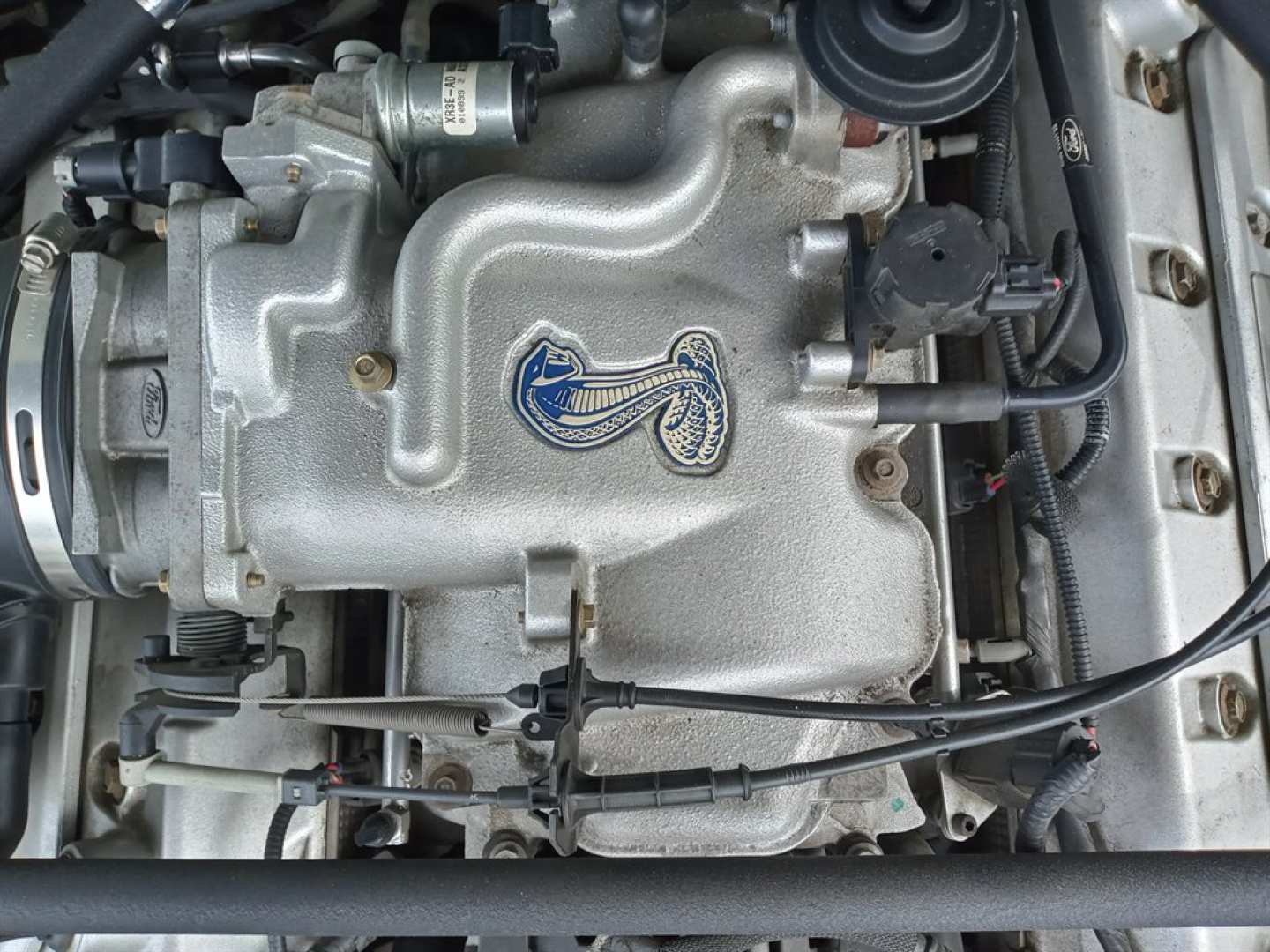 12th Image of a 1999 FORD MUSTANG COBRA