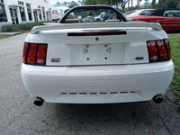 Image 3 of 19 of a 1999 FORD MUSTANG COBRA