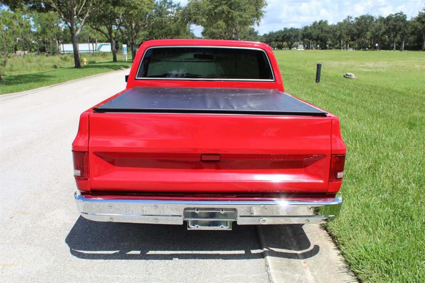 7th Image of a 1977 CHEVROLET C10