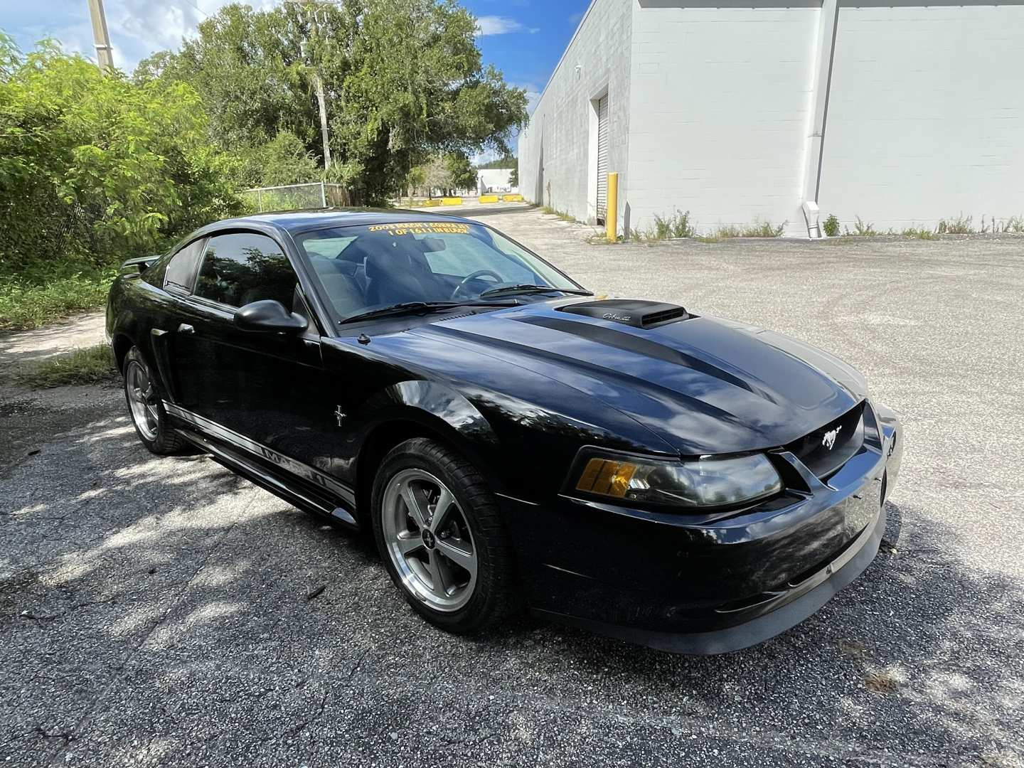 1st Image of a 2003 FORD MUSTANG MACH 1