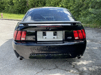 Image 4 of 10 of a 2003 FORD MUSTANG MACH 1