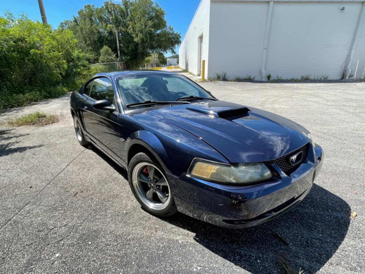 2nd Image of a 2001 FORD MUSTANG