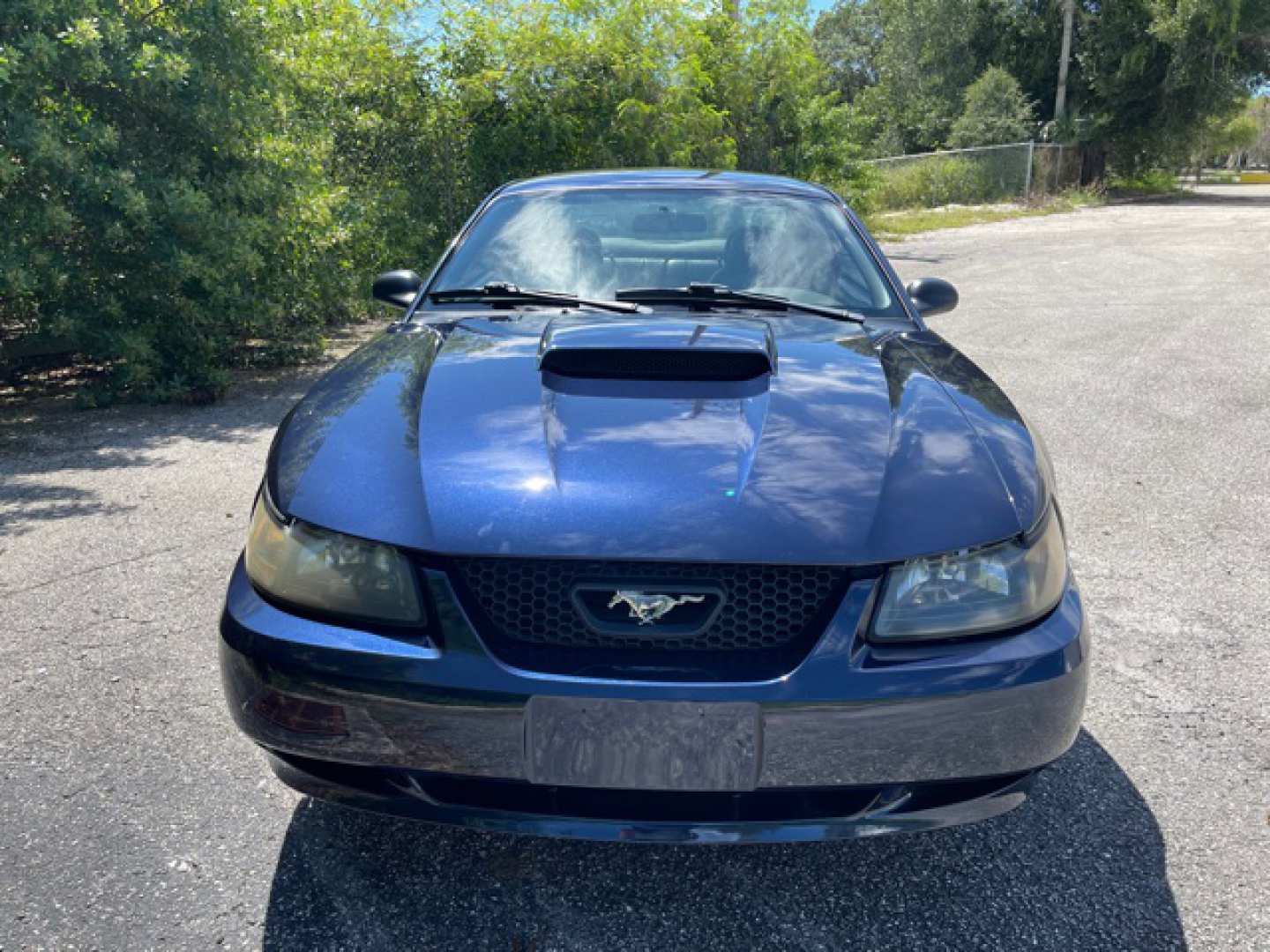 3rd Image of a 2001 FORD MUSTANG