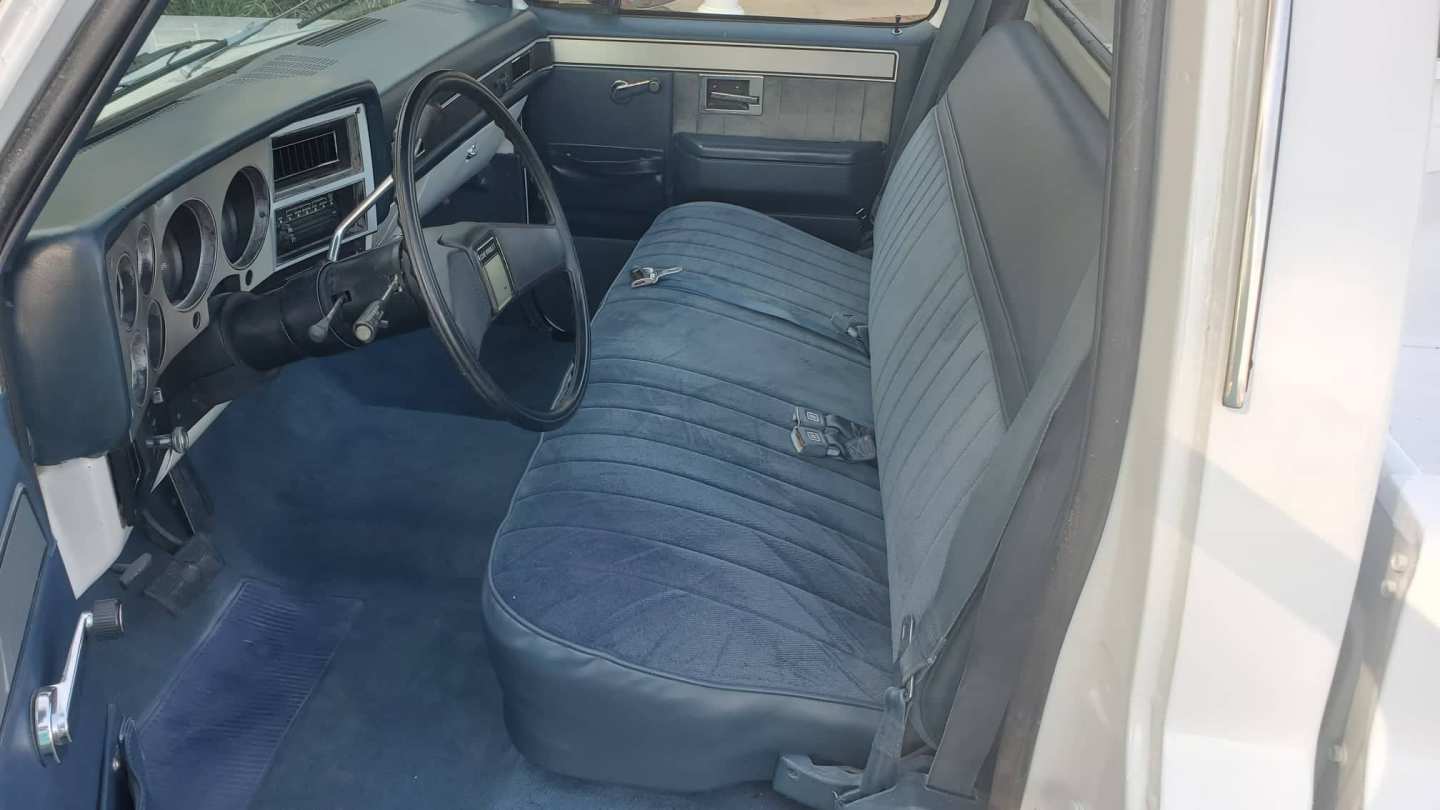 11th Image of a 1982 CHEVROLET C10