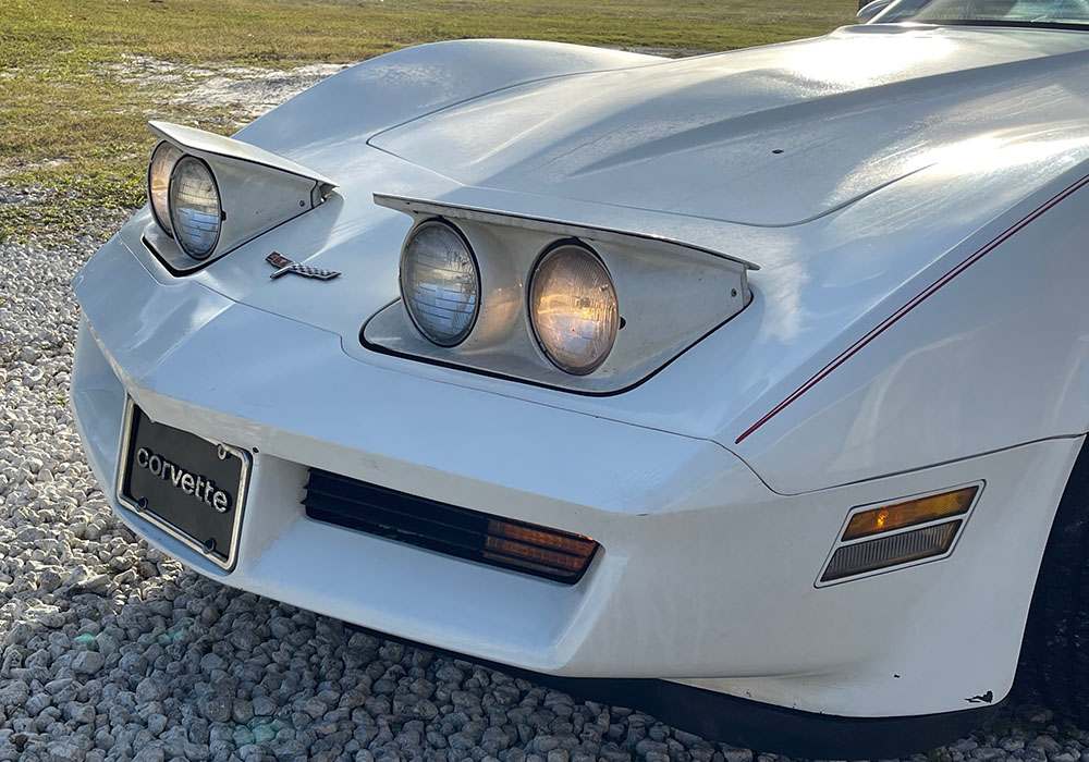 22nd Image of a 1980 CHEVROLET CORVETTE