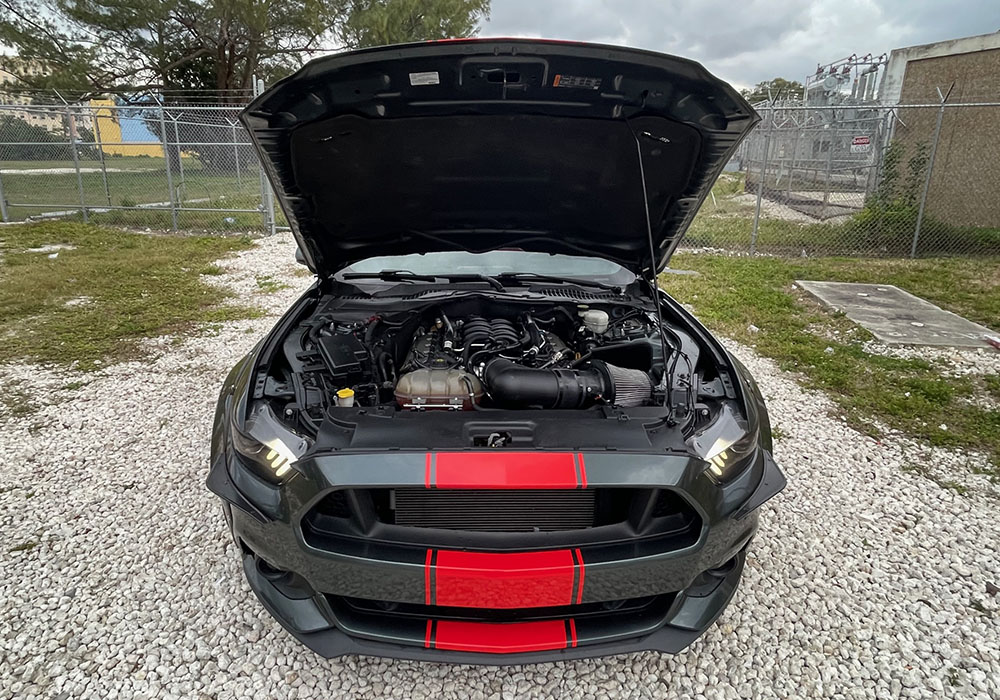 39th Image of a 2016 FORD MUSTANG GT
