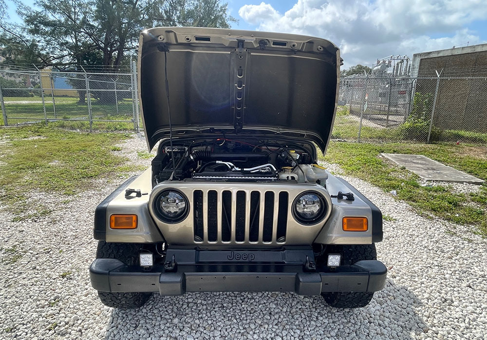 26th Image of a 2004 JEEP WRANGLER