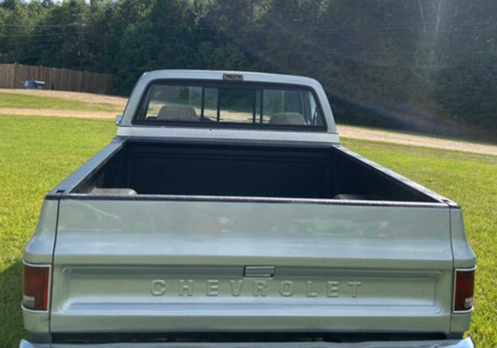 9th Image of a 1979 CHEVROLET C-10