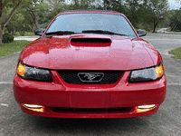 Image 9 of 14 of a 2004 FORD MUSTANG GT DELUXE
