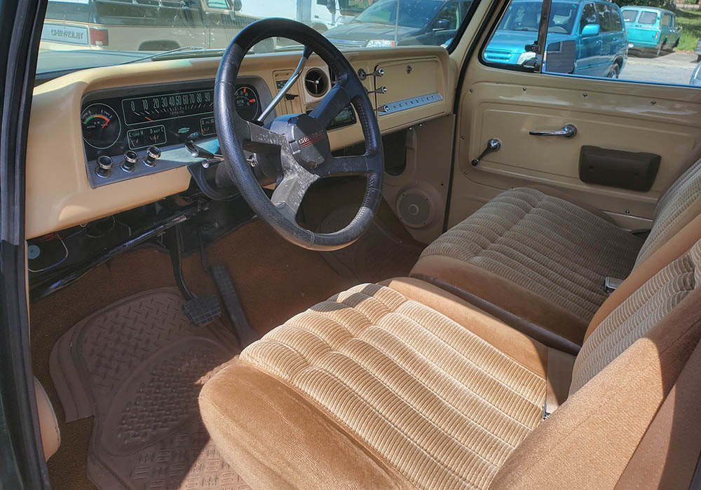 10th Image of a 1966 CHEVROLET C10