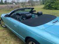 Image 7 of 12 of a 2002 FORD THUNDERBIRD