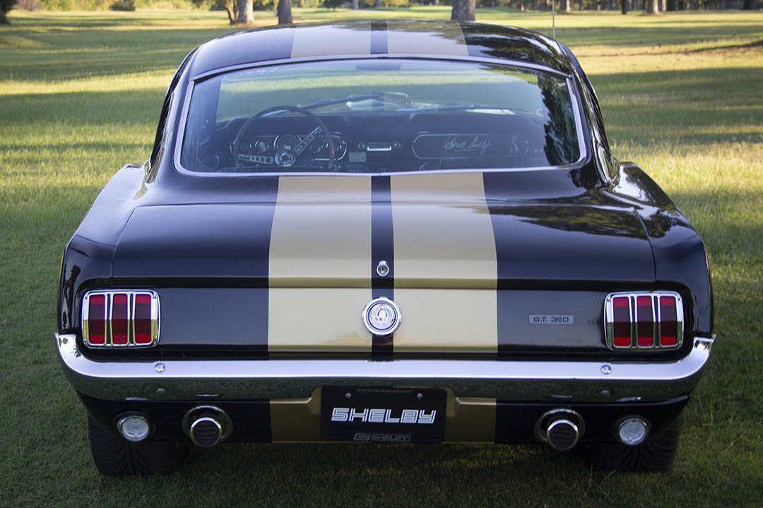 4th Image of a 1966 FORD MUSTANG SHELBY