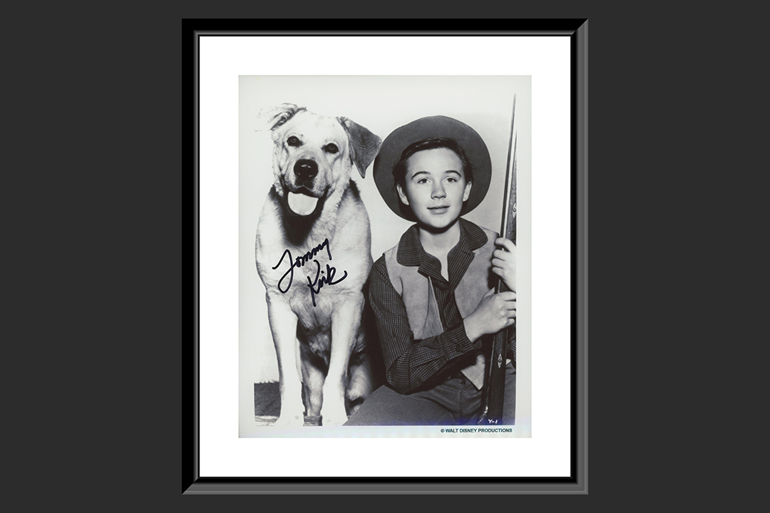 0th Image of a N/A OLD YELLER TOMMY KIRK