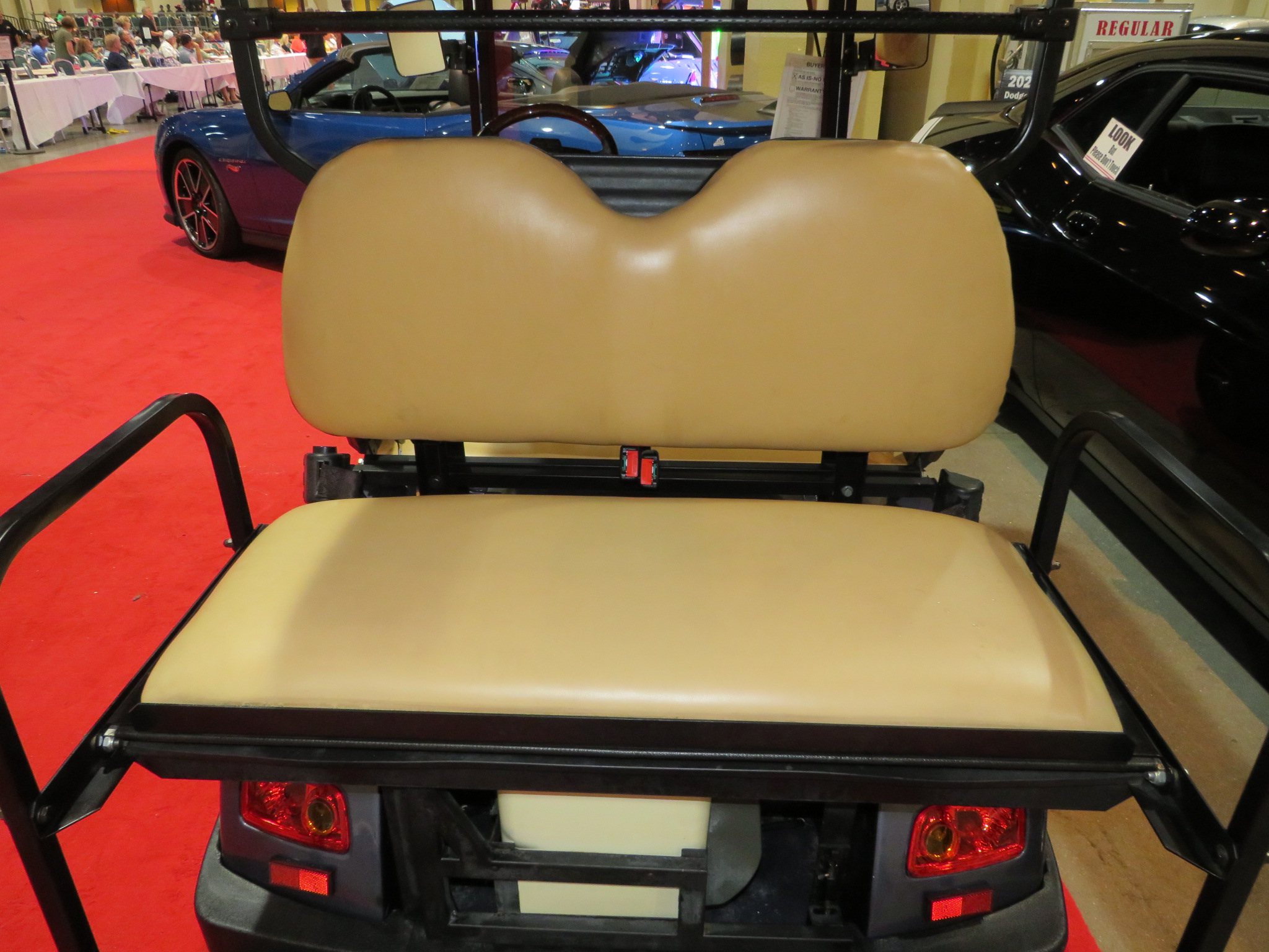 6th Image of a 2019 BINTELLI GOLF CART