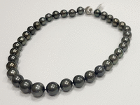 Image 4 of 8 of a N/A TAHITIAN PEARL