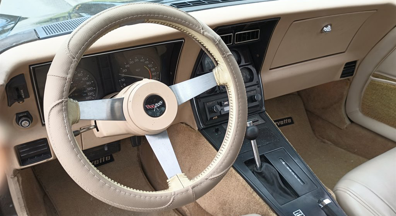 6th Image of a 1979 CHEVROLET CORVETTE