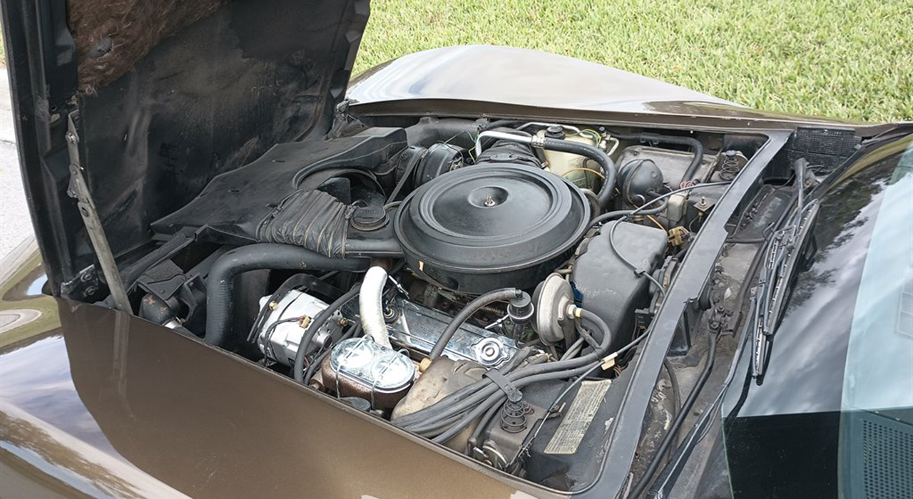 10th Image of a 1979 CHEVROLET CORVETTE