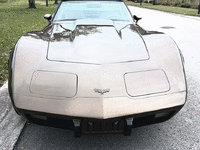 Image 3 of 11 of a 1979 CHEVROLET CORVETTE