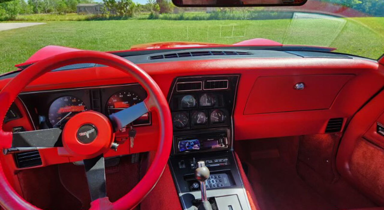 7th Image of a 1980 CHEVROLET CORVETTE