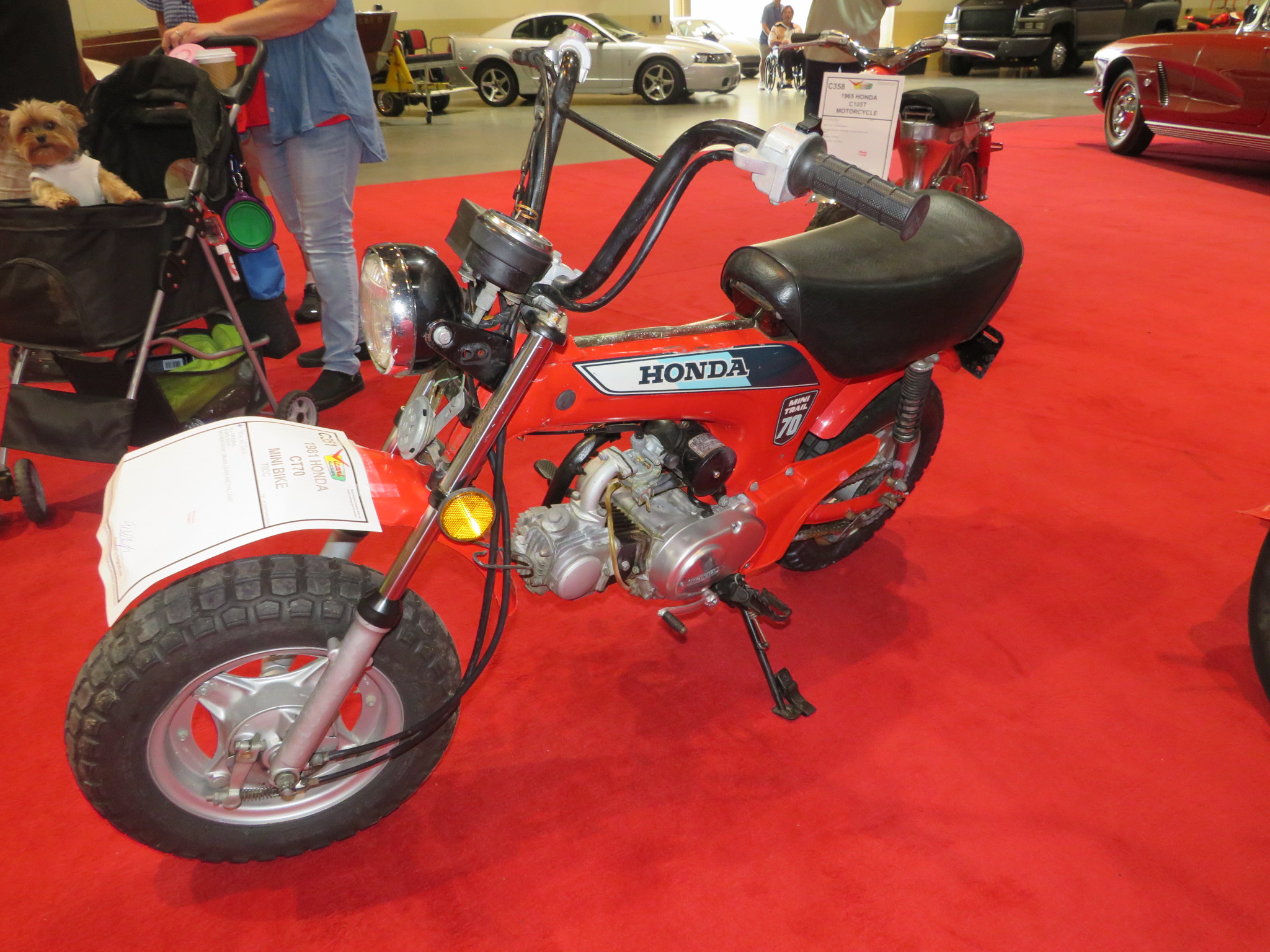 1st Image of a 1981 HONDA CT70