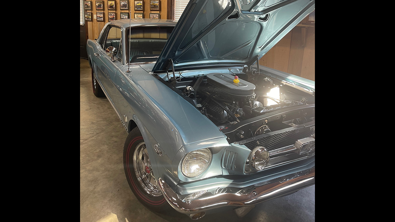 26th Image of a 1965 FORD MUSTANG