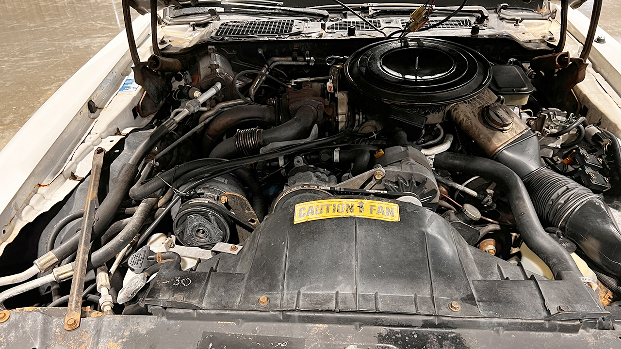 20th Image of a 1981 PONTIAC FIREBIRD SE