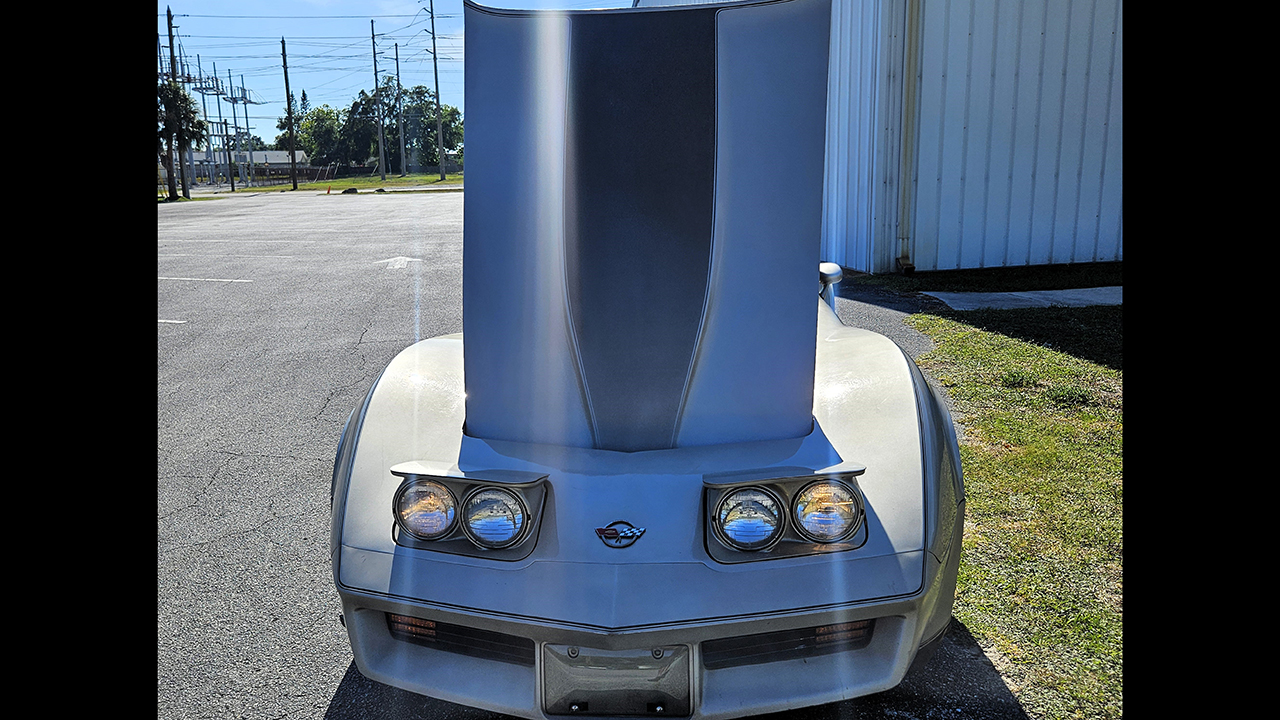 6th Image of a 1982 CHEVROLET CORVETTE