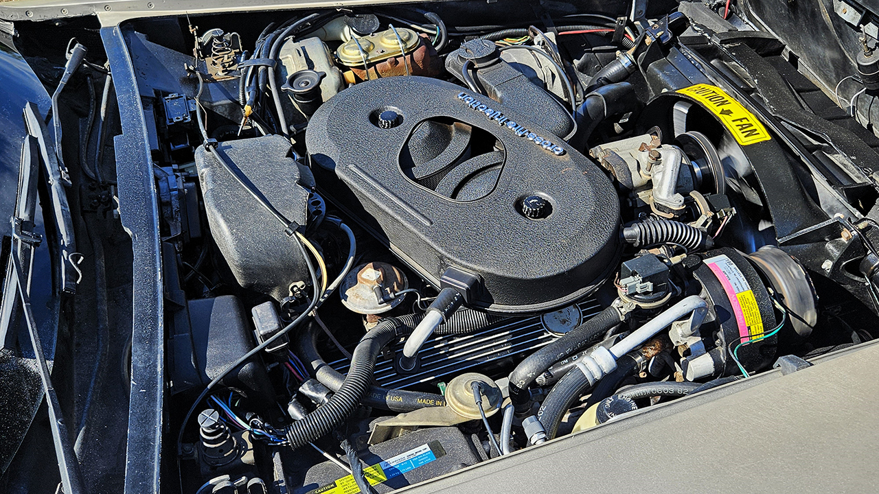 17th Image of a 1982 CHEVROLET CORVETTE