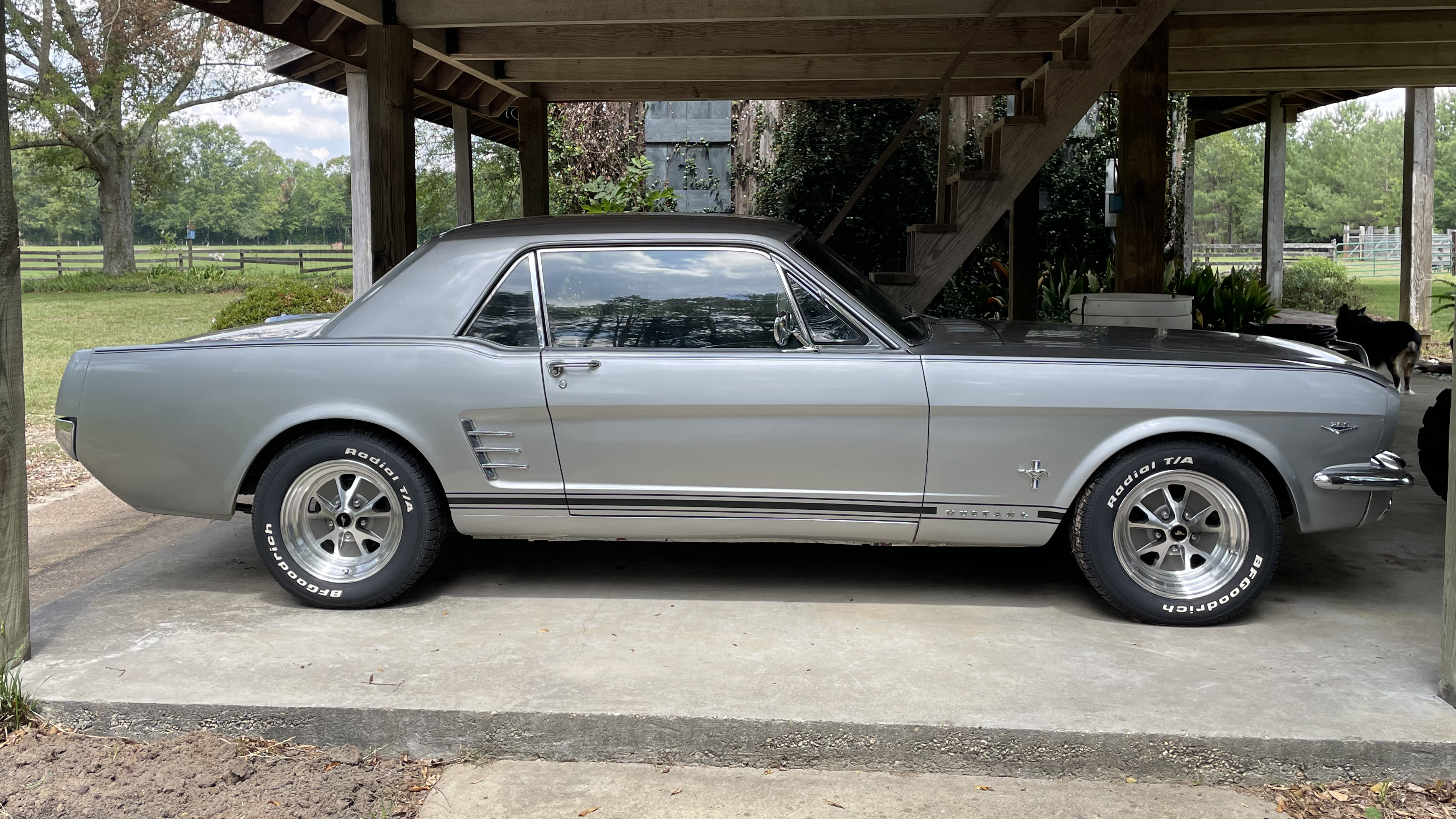 3rd Image of a 1966 FORD MUSTANG