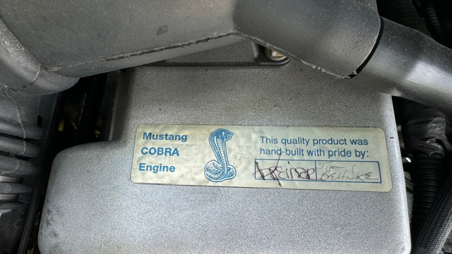 16th Image of a 1997 FORD MUSTANG COBRA