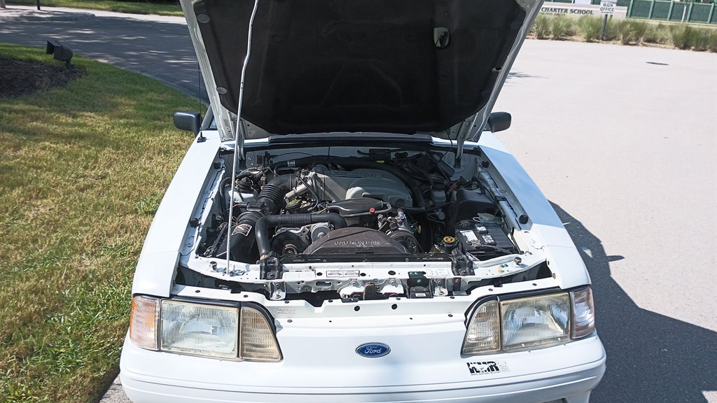 16th Image of a 1991 FORD MUSTANG GT