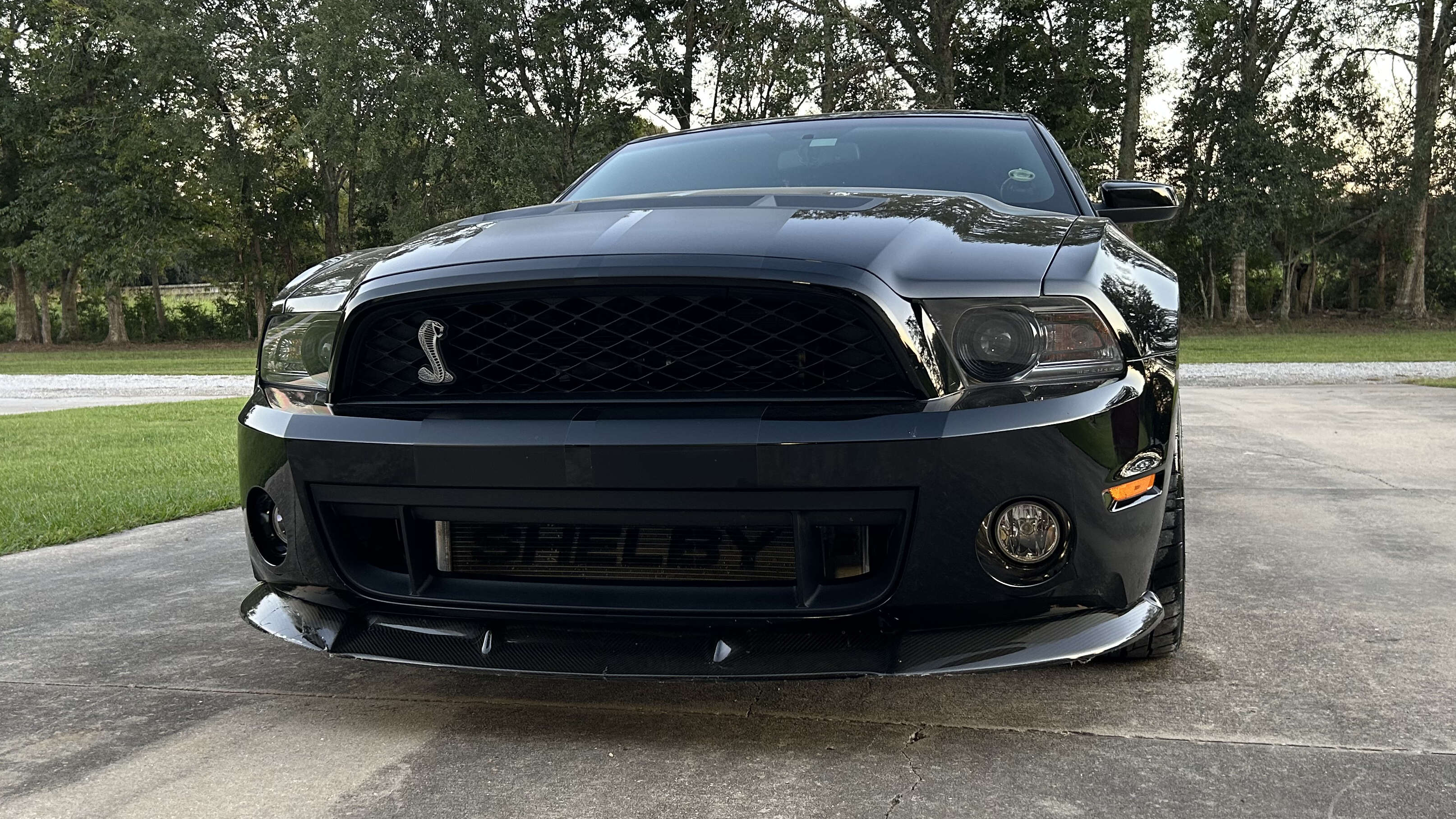 4th Image of a 2012 FORD MUSTANG SHELBY GT500