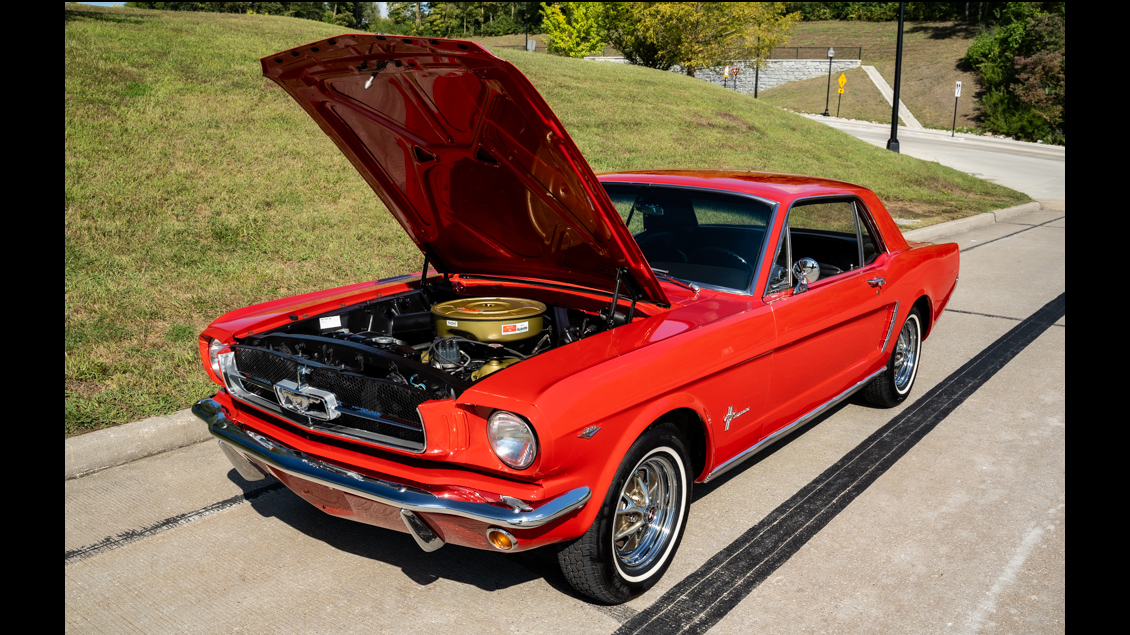 16th Image of a 1965 FORD MUSTANG