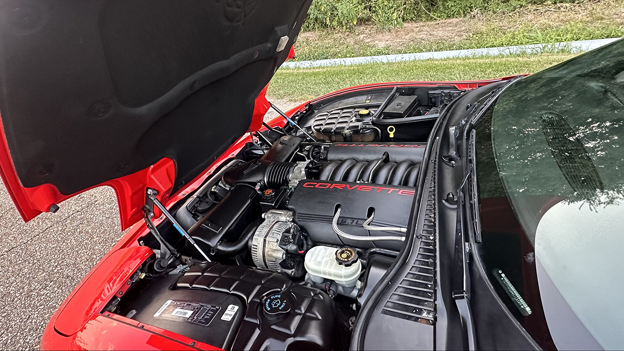 12th Image of a 1998 CHEVROLET CORVETTE